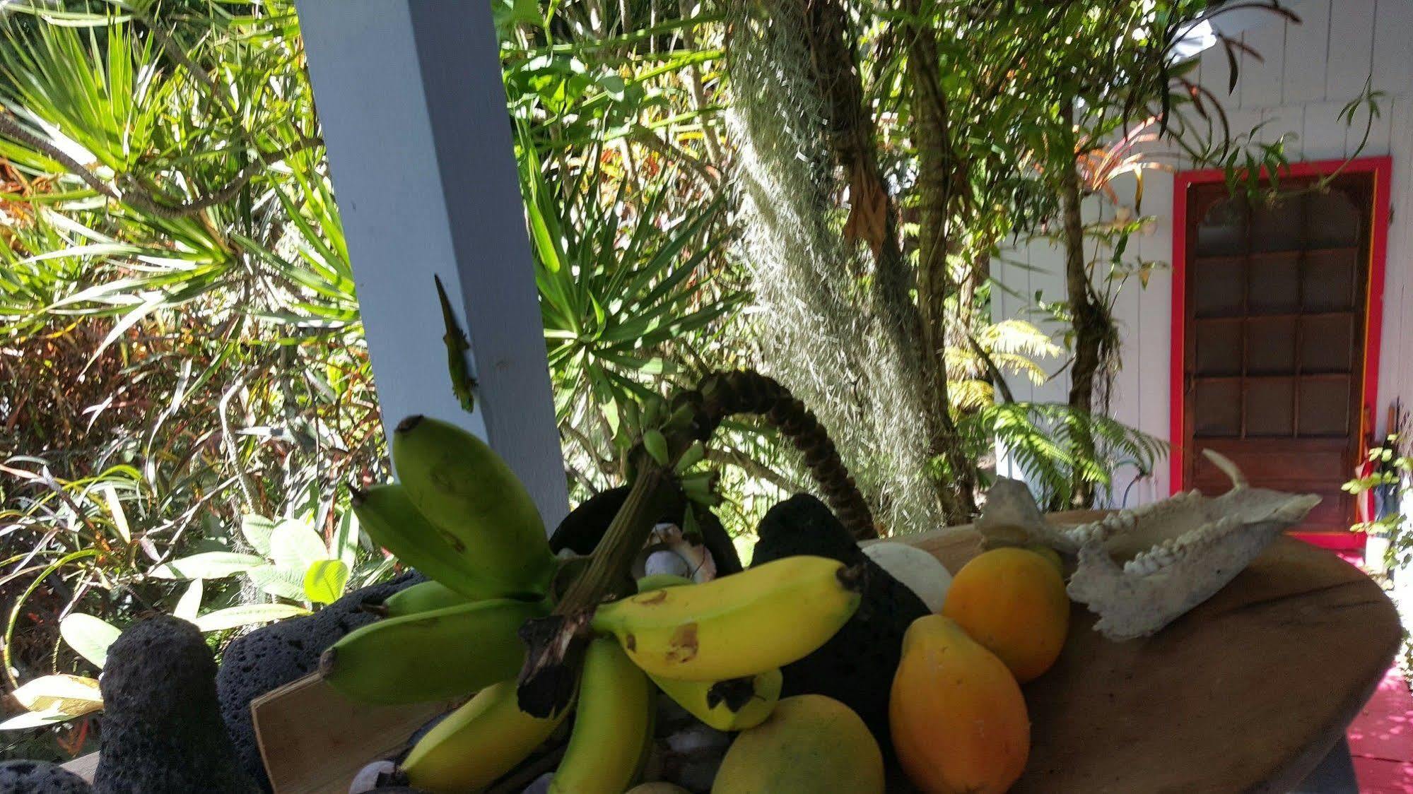 Ma'Ukele Lodge Pahoa Kültér fotó